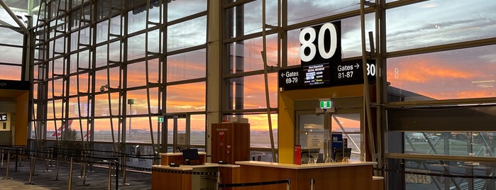 Gate 80 is one of Airports.