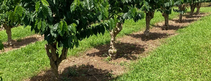 Greenwell Farms Coffee Plantation is one of Hawaii 2020.
