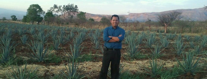 Tequila Marengo is one of สถานที่ที่ Nomnomnom ถูกใจ.