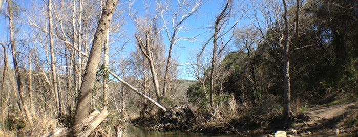 St Edwards Park is one of Austin Outdoors.