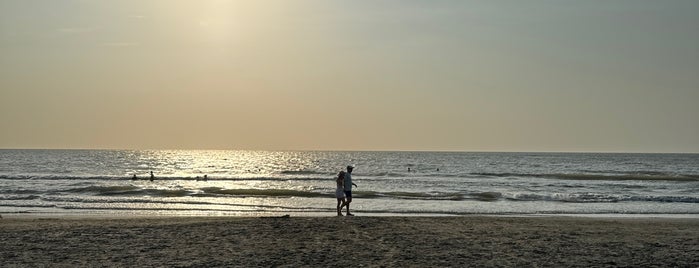 Playa Manzanillo is one of entretenimiento.