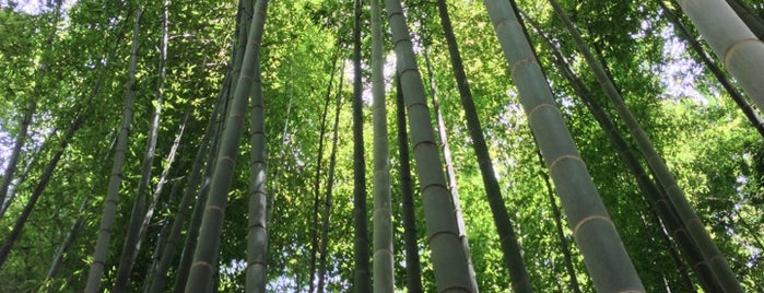 竹の庭 is one of Orte, die Katsu gefallen.