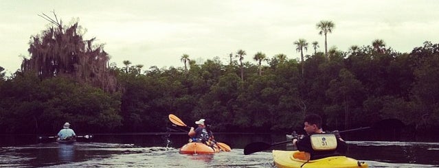 Loxahatchee River is one of Locais curtidos por Lizzie.
