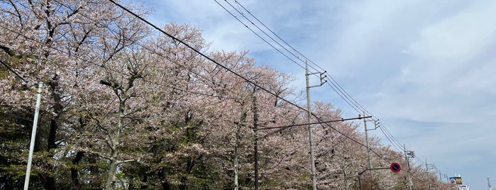 陸上自衛隊 練馬駐屯地 is one of 桜を見た場所.