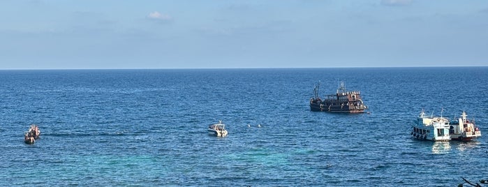 Shark Bay is one of สุราษฎร์ธานี.