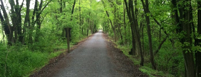 Koser Road Trailhead is one of Great places to run!.