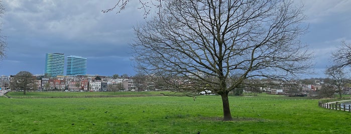 Park Sonsbeek is one of Arnhem.