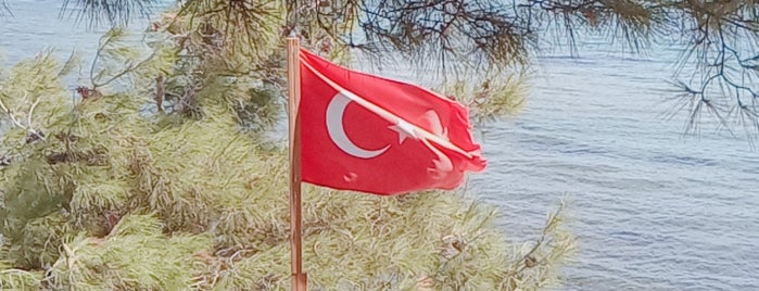 Adilhan Çamlık altı is one of Locais salvos de İsmail.