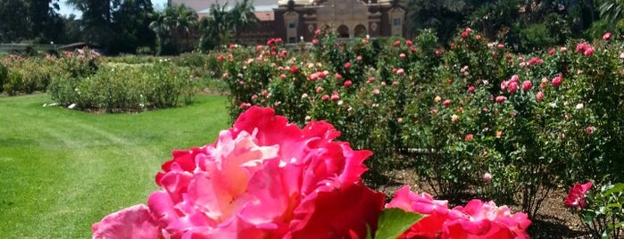 Exposition Park Rose Garden is one of 100 Cheap Date Ideas in LA.