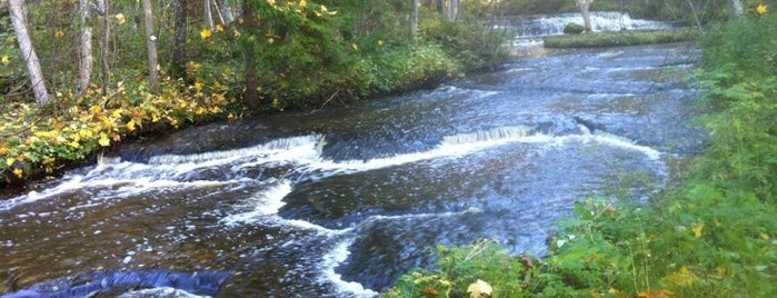 Treppoja is one of Great Outdoors in Tallinn.