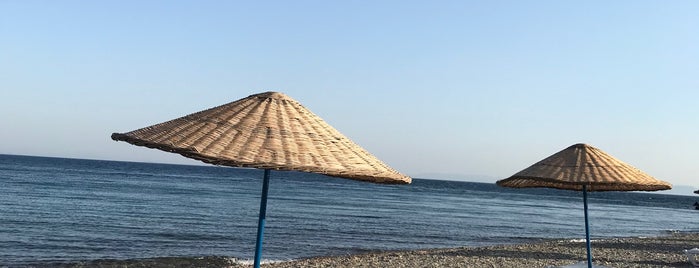 Şamata Camping & Restaurant is one of Elif 님이 좋아한 장소.