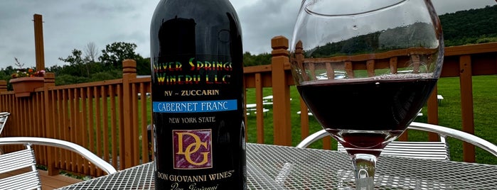 Silver Springs Winery is one of Falls & Bakes in the Finger Lakes.