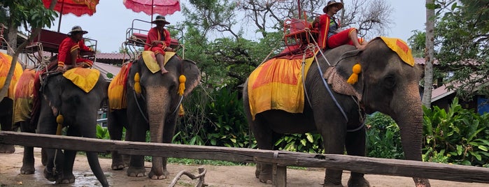 Chang Puak Camp is one of Bangkok.