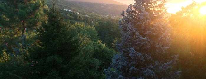 Pako's Garden is one of Locais curtidos por Ozgun.