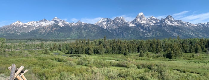 Blacktail Ponds is one of Jackson Hole.