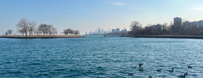 Montrose Harbor is one of Kiddos.