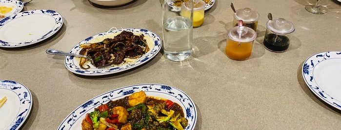 Szechwan Restaurant is one of What does an iSapien eat?.