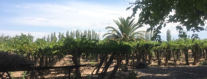 Museo Nacional del Vino y la Vendimia is one of Mendoza 🍷.