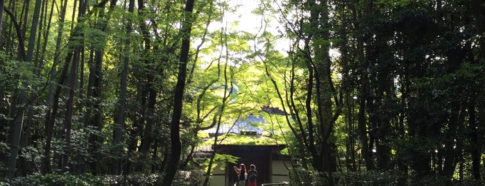 大徳寺 高桐院 is one of 京都エリア.