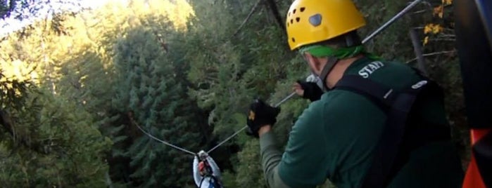 Sonoma Canopy Tours is one of Fun Places to Get Active in Sonoma County.