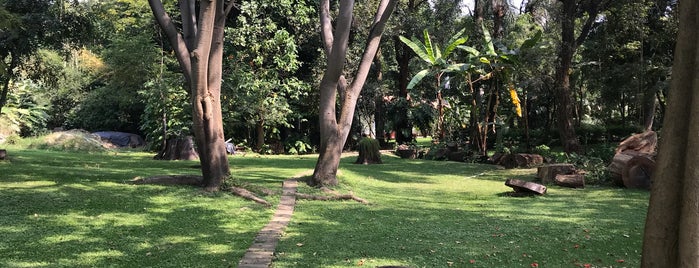 Jardin Etnobotanico de Cuernavaca is one of Lugares favoritos de Omar.