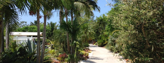 Naples Botanical Garden is one of Ft. Myers and Beyond--Things to Do in Florida.