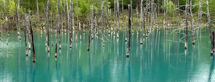 Shirogane Blue Pond is one of Asahikawaaaaa.
