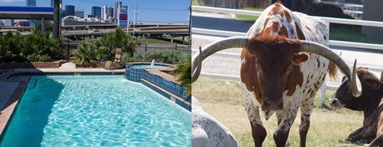 Fuel City is one of The Complete Guide to Dallas Pools.
