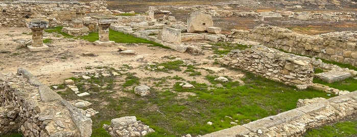 Ancient Kition Archaeological Site is one of larnaca.