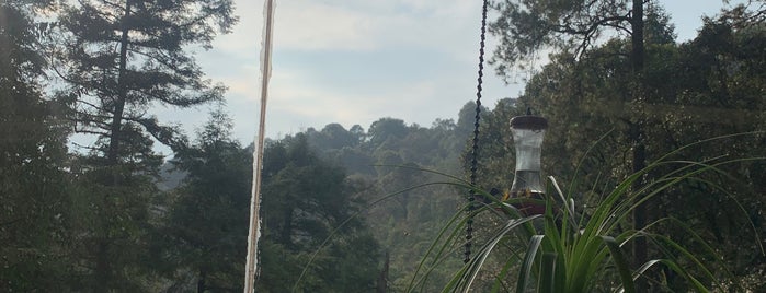El Refugio del Bosque is one of Toluca.