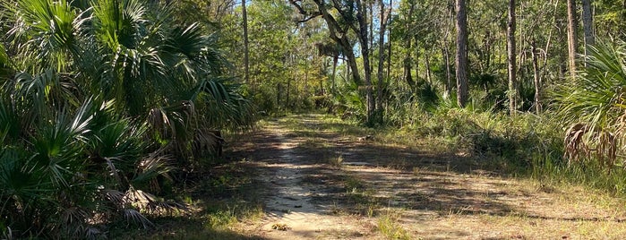 Weeki Wachee Preserve is one of Kimmie's Saved Places.