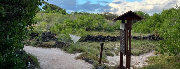 Galápagos National Park is one of UNESCO World Heritage Sites in South America.