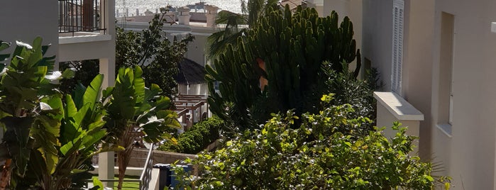 Aparthotel Los Olivos is one of Teneriffa 2014.
