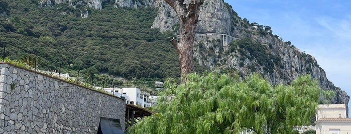 Villa Marina Capri is one of Capri.