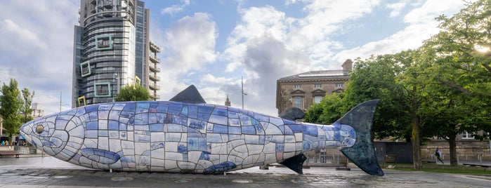 The Salmon of Knowledge (The Big Fish) is one of Ireland.
