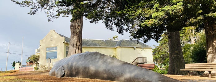 Santa Cruz Museum Of Natural History is one of Santa Cruz County.Rainy Day.