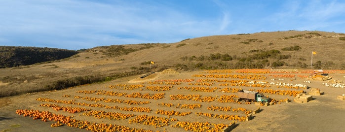 Rodoni Farms Pumpkin Patch is one of Future Trips.