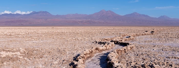 Laguna Chaxa is one of Atacama Desert, Chile.