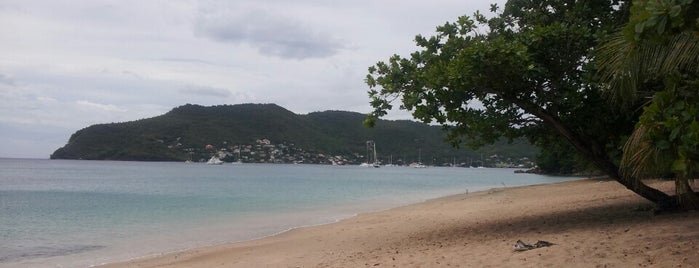 Lower Bay Beach is one of Karibik.