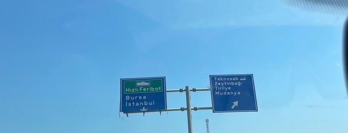 Uluabat Gölü is one of Bursa Green City.