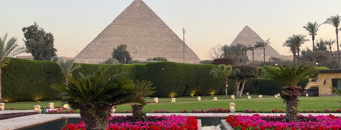 Garden at Marriott Mena House is one of Lieux sauvegardés par Kimmie.