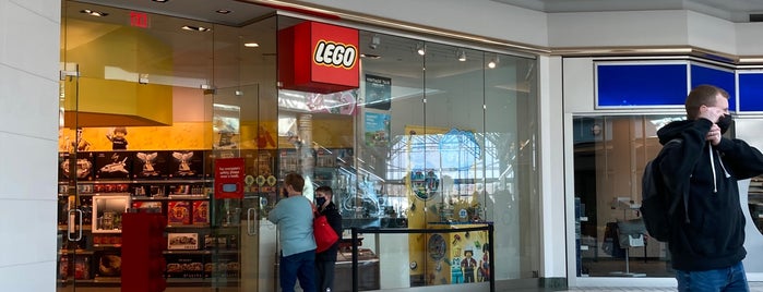 The LEGO Store is one of Places to check out in Rochester.