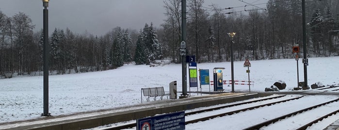 SZU Ringlikon is one of Bahnhöfe.