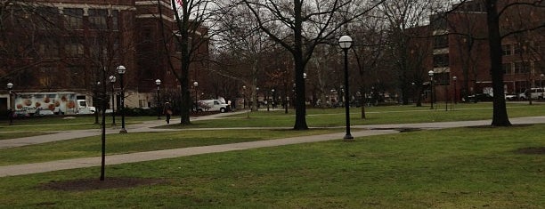 University of Michigan Diag is one of The Most Beautiful & Iconic American College Quads.