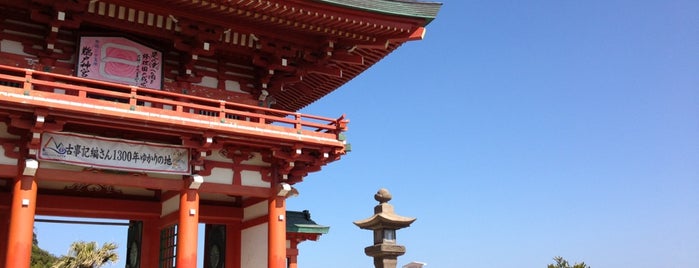 Udo-jingu Shrine is one of 八百万の神々 / Gods live everywhere in Japan.