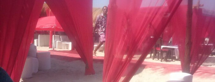 Hotel Caribbean World Hammamet Garden Hammamet Nabeul Tunisie