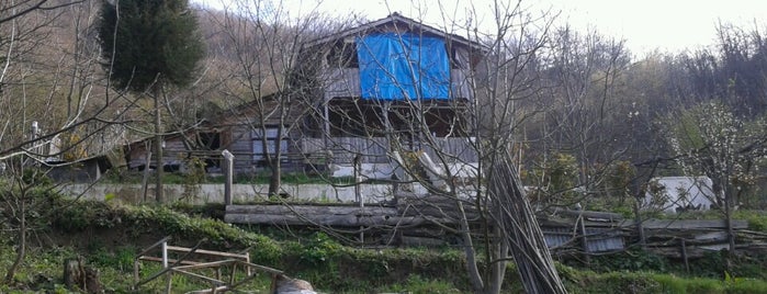 Çerkeşli is one of สถานที่ที่ uhlğı ถูกใจ.