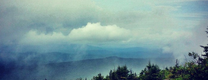 Summit Of Mt. Cardigan is one of Locais curtidos por Vanessa.