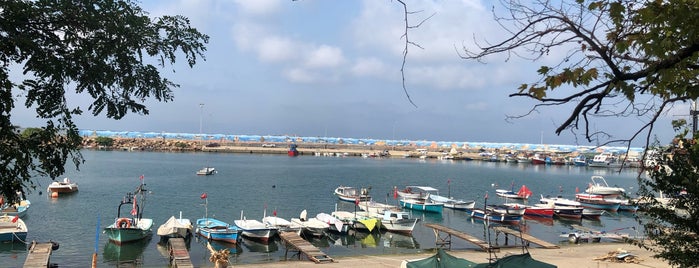 Akçakoca Sahili is one of สถานที่ที่บันทึกไว้ของ Çiğdem 🐞🍃🐞.