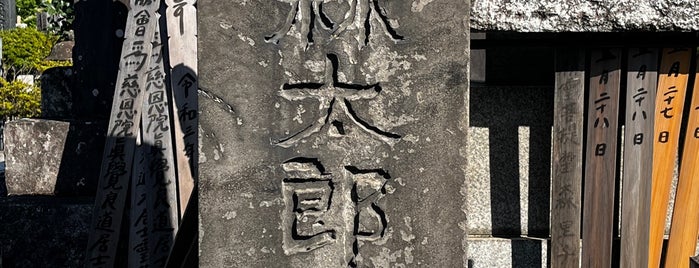 森鴎外の墓 is one of 史跡・名勝・天然記念物.